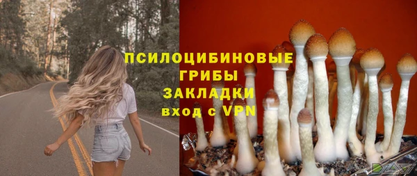 гидра Навашино