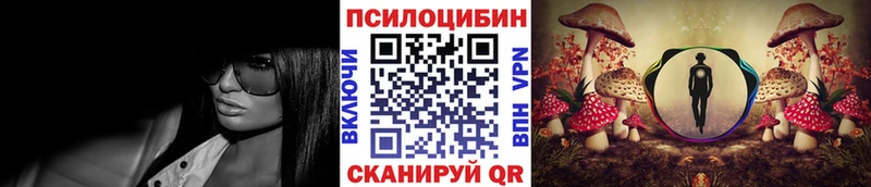 Галлюциногенные грибы Psilocybe  гидра   Воронеж  где найти наркотики 